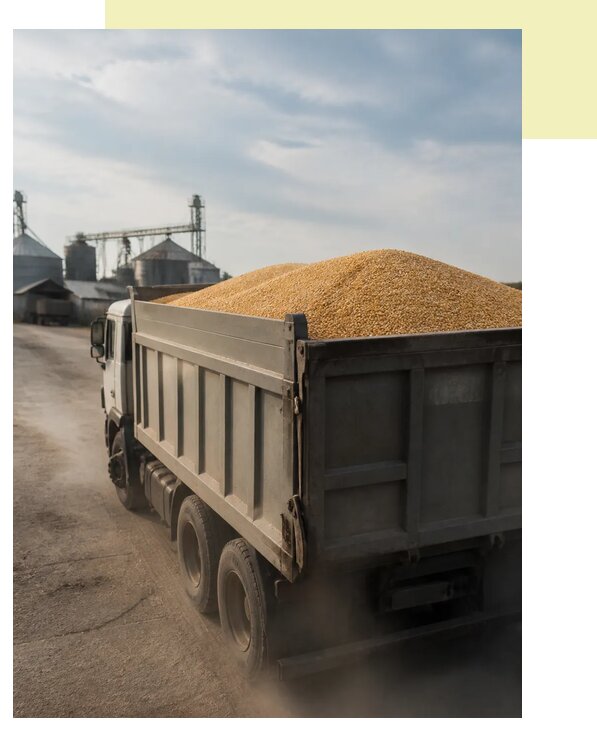 Перевозка сельхозпродукции навалом в Краснокамск по цене от 3041 р. | Агросервис-Кнм
